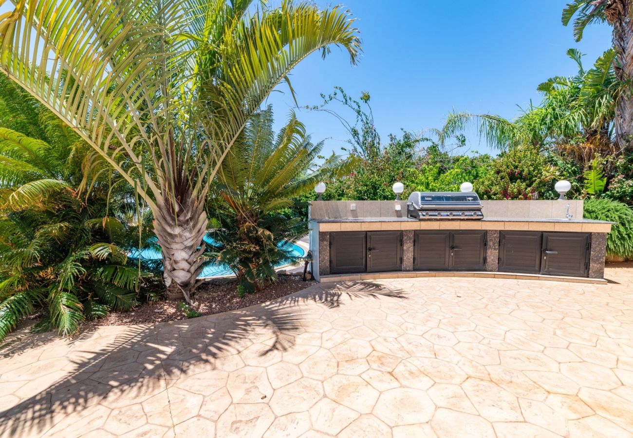 Villa in Ayia Napa - Ayia Napa Panorama Villa