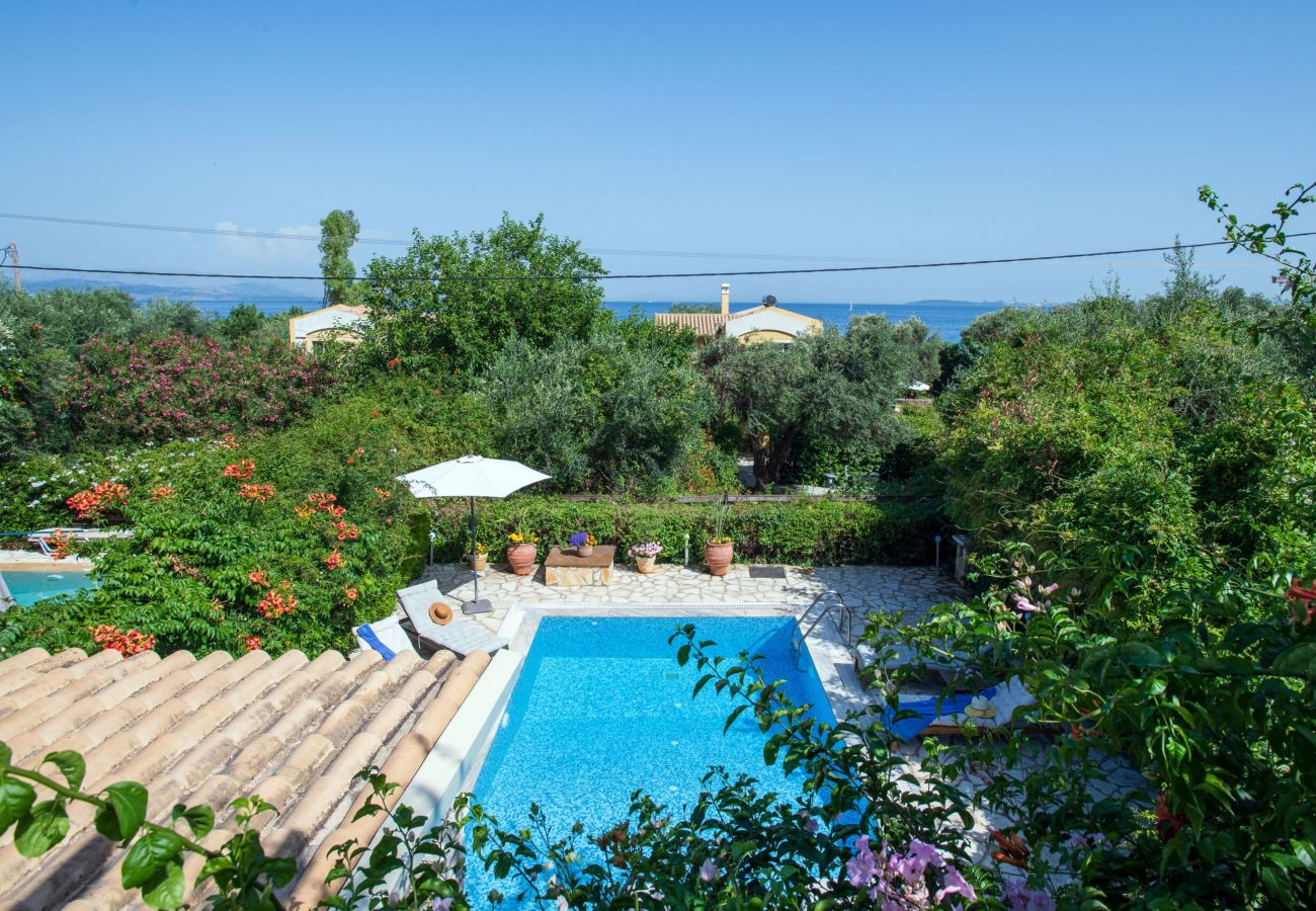 Villa a Barbati - Beach Villa Blue - Corfu