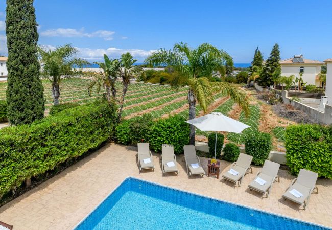 Willa w Protaras - Villa Alexander Willa w Protaras - Villa Alexander