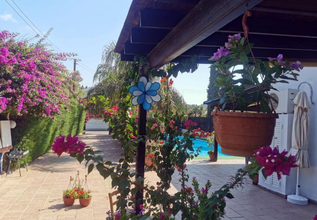 Villa in Protaras - Villa Penelope Villa in Protaras - Villa Penelope