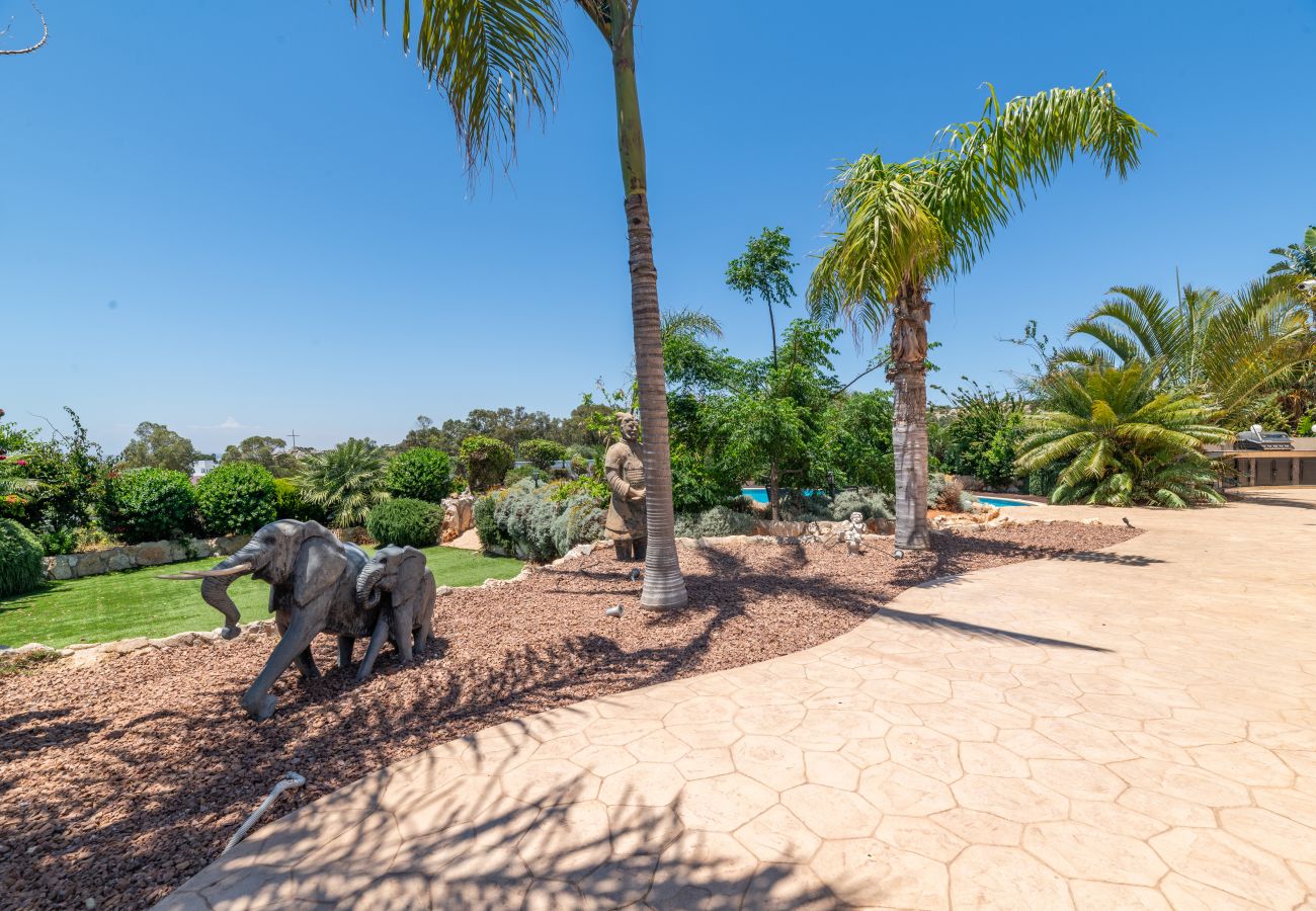 Villa in Ayia Napa - Ayia Napa Panorama Villa