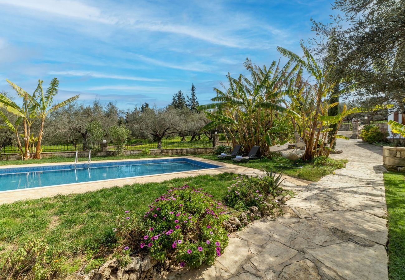 Villa in Apokoronas - Villa Klapas - Crete
