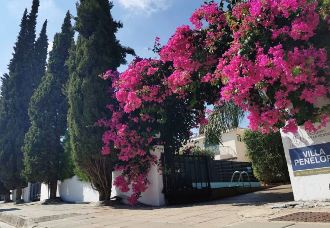 Вилла на Protaras - Villa Penelope Вилла на Protaras - Villa Penelope